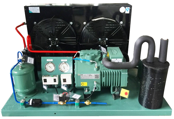 Bitzer Air-condensing Cold Room Unit