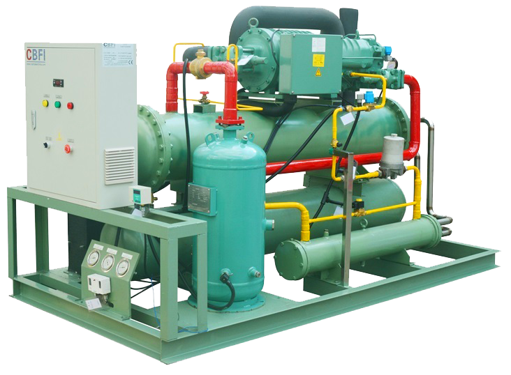 Bitzer Screw Compressor Cold Room Unit