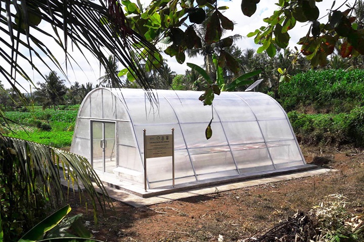 Solar Dryer Dome